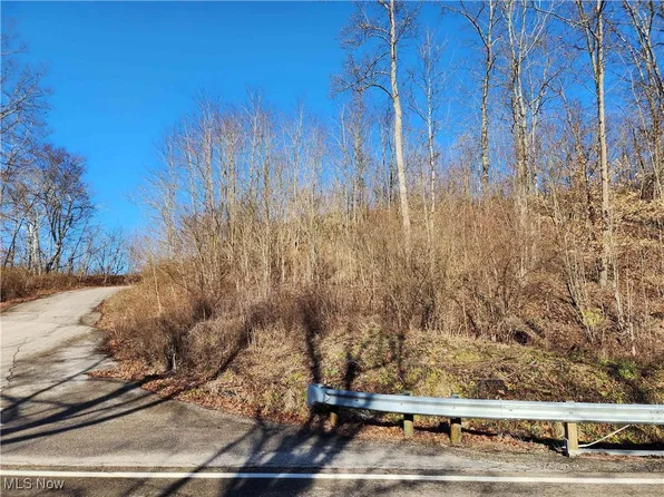 0 W Captina Highway Rd, Alledonia, OH 43902