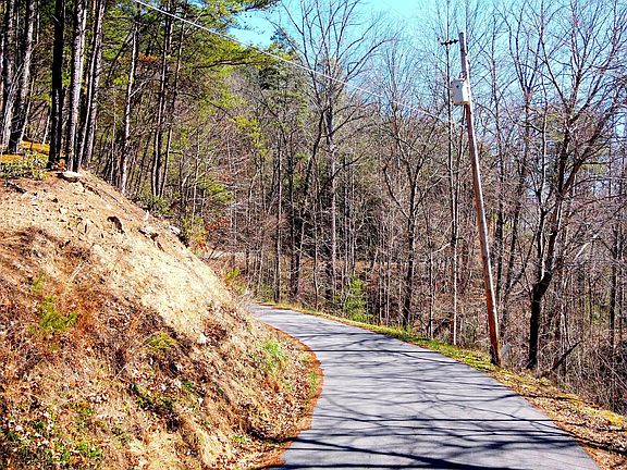 4th image of 4 Walden Ridge Rd