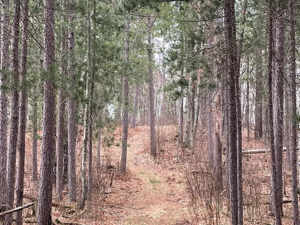 24th St SW, Pine River, MN 56474