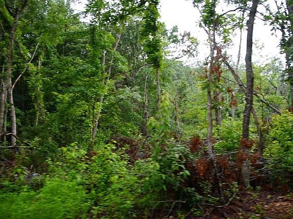 5th image of 650 Ridge Rd