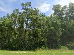SE 145th Pl LOT 12, Umatilla, FL 32784