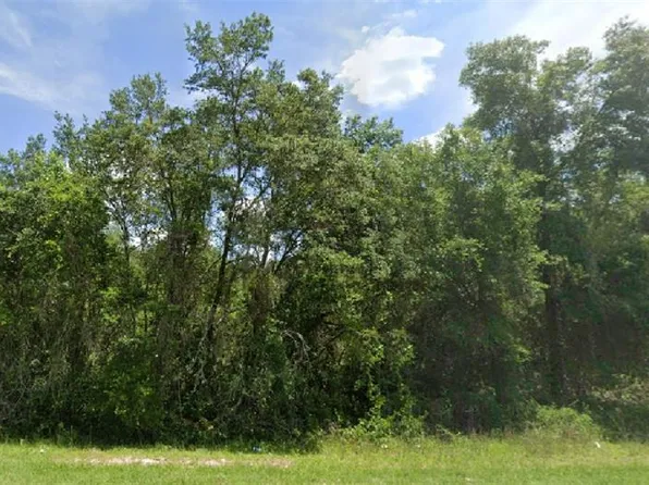 SE 145th Pl Lot 12, Umatilla, FL 32784