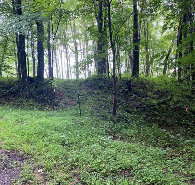 Shades Of Death Rd, Danese, WV 25831 Zillow