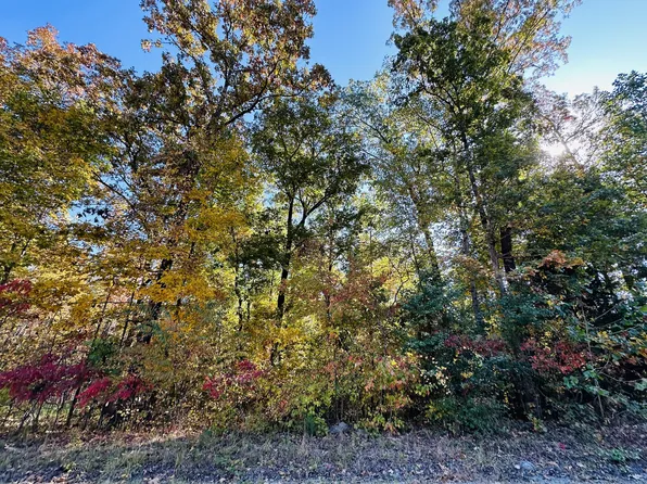 0 Carl Willis Rd Lot 303, Flintville, TN 37335