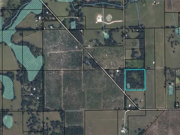 Manley Rd, Wauchula, FL 33873