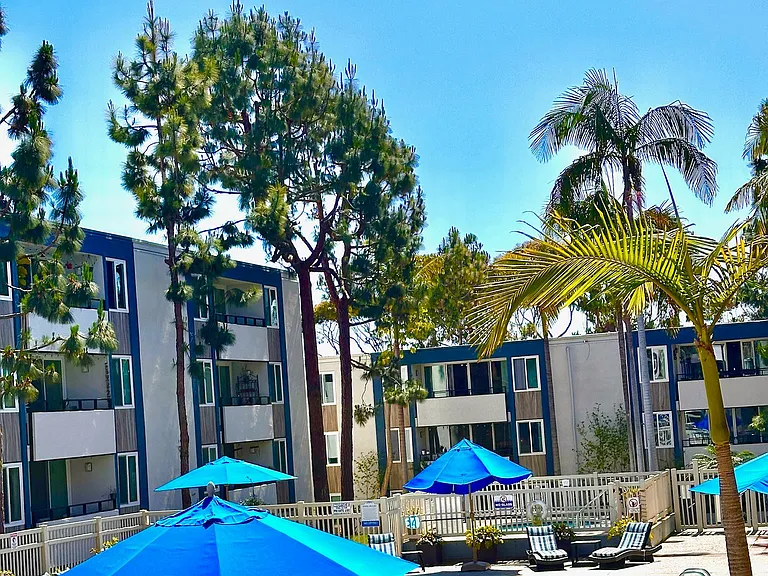 Los Arboles Apartments — Photo 6