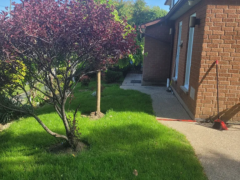 36 Caverley Dr — Photo 3
