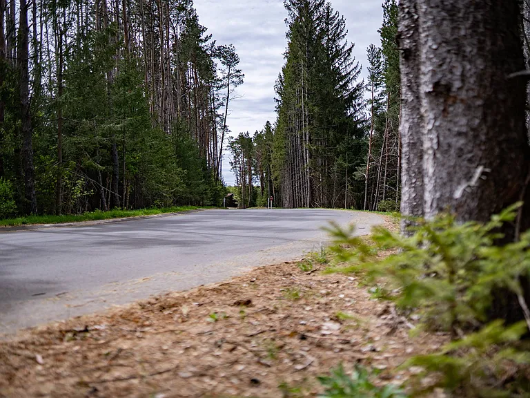 Wooded Drive