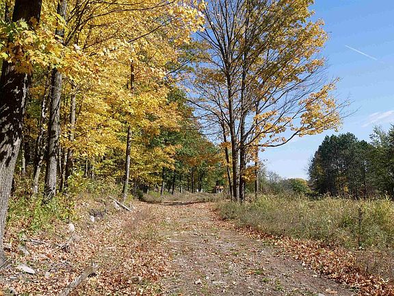 2nd image of 55.55 Acres BRUSH CREEK ROAD