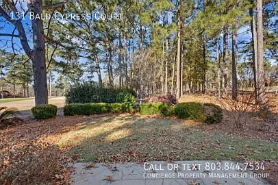 131 Bald Cypress Ct — Photo 22