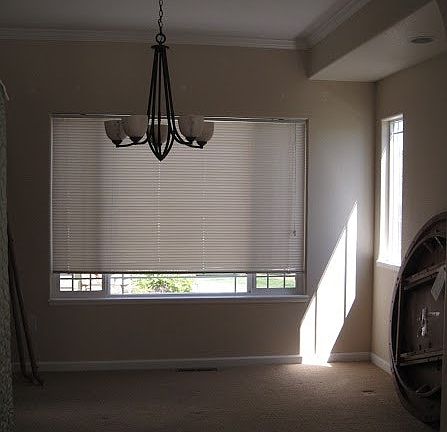 Spacious Dining Room
