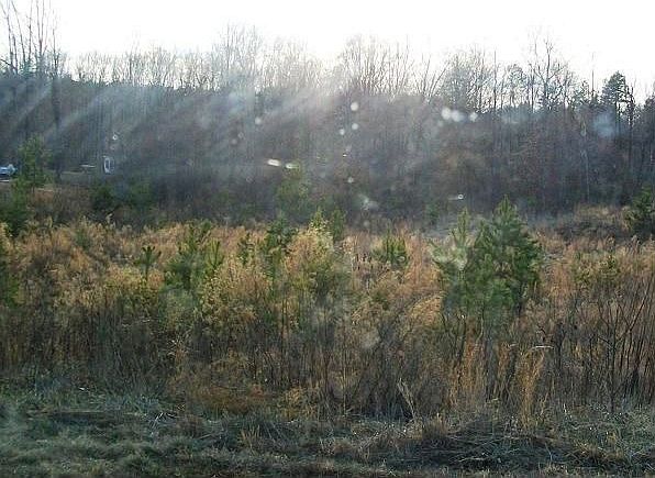 1st image of 1412 Ashley Creek Ct