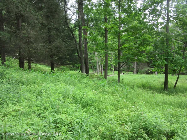 0 Airport Rd, Lot #4, Lexington, NY 12452