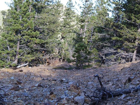 5th image of 0 Pennsylvania Gulch Rd