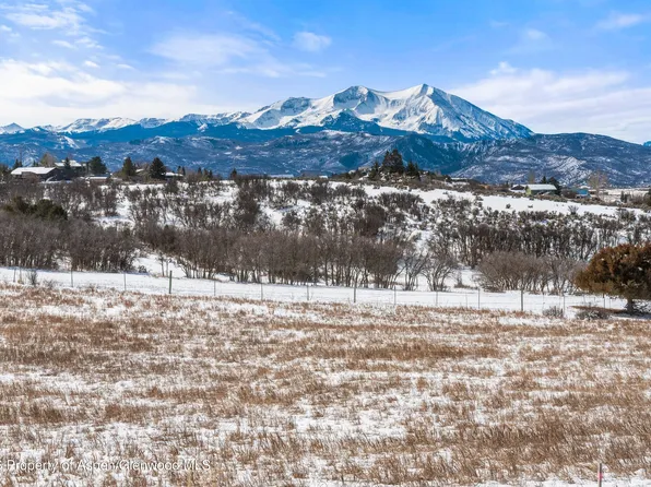 306 Green Meadow Dr, El Jebel, CO 81623