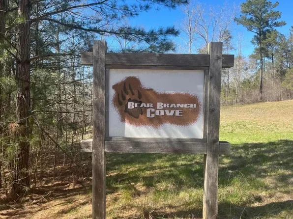 21 Bear Branch Cv, Arley, AL 35541