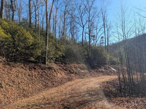 357 Golden Falls Dr, Franklin, NC 28734