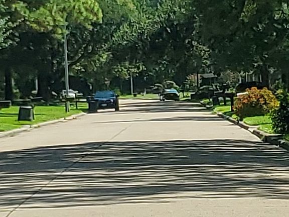 5th image of 1422 Ash Meadow Dr