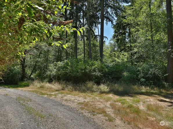 0 Lot 3 Goss Lake Road, Freeland, WA 98249