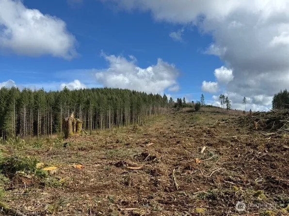 0 Lot 2 August Road, Onalaska, WA 98532