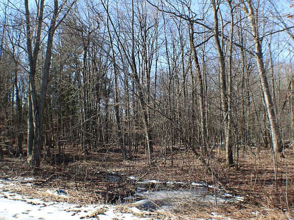5th image of 1153 Croswell Ave