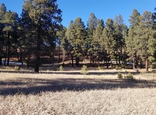 Tbd County Road 501, Bayfield, CO 81122
