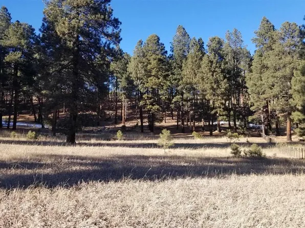 TBD County Road 501, Bayfield, CO 81122