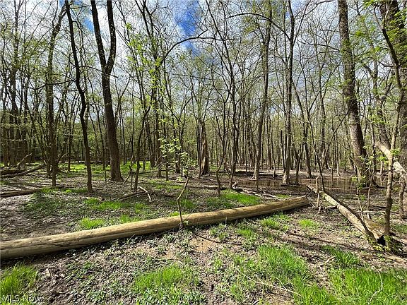 4th image of County Road 368