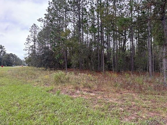 4th image of 1390 W Japonica Pl