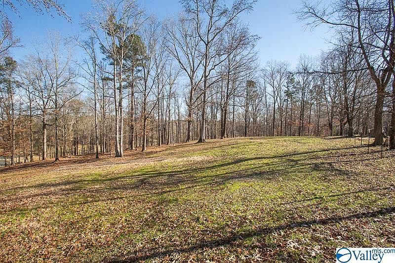 225 Natural Bridge Rd, Hartselle, AL 35640 Zillow