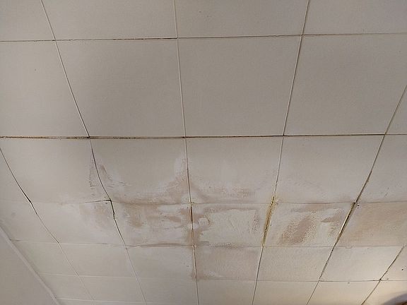 Kitchen Ceiling Tile II.