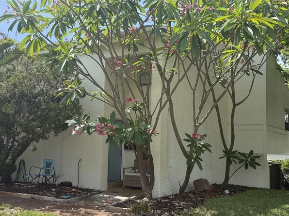 4221 La Sorrento Ct, Tampa, FL 33611