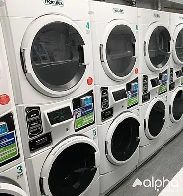 Rented by Alpha Properties NYC I LLC | media 7