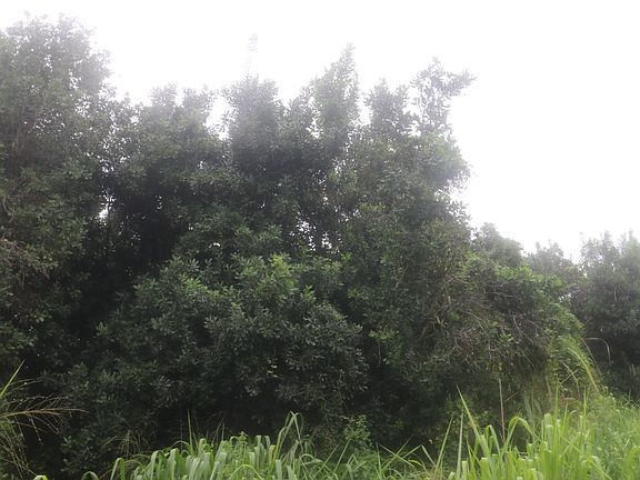 4th image of 89-1190 Hawaii Belt Rd Lot 5