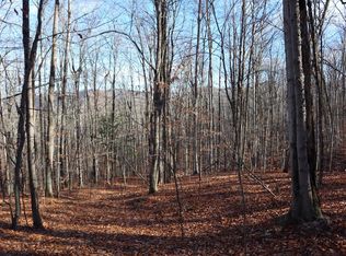 423 Hadley Rd, Stony Creek, NY 12878