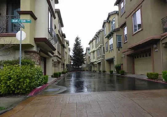 49054 Rosette Grass Ter — Photo 3
