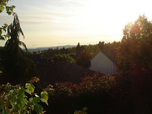 Sunset View 2
