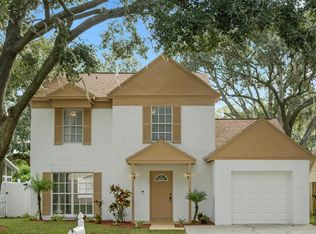 4643 Cabbage Palm Dr, Valrico, FL 33596