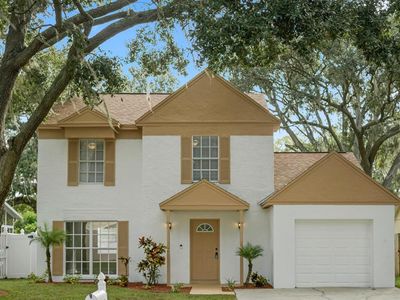 4643 Cabbage Palm Dr, Valrico, FL, 33596