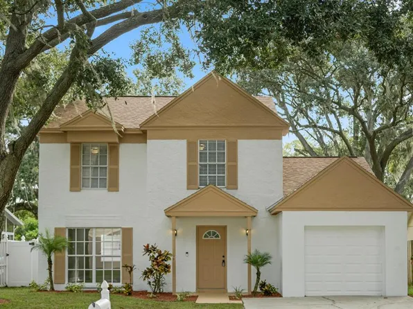 4643 Cabbage Palm Dr, Valrico, FL 33596