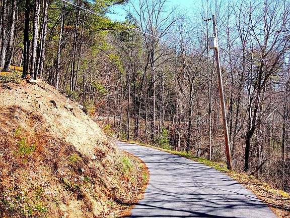 4th image of 4 Walden Ridge Rd Lot 4