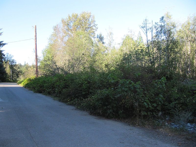 1st image of 5423 211th Ave SE