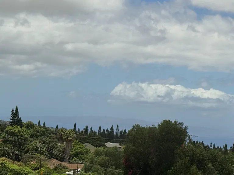 Ocean View