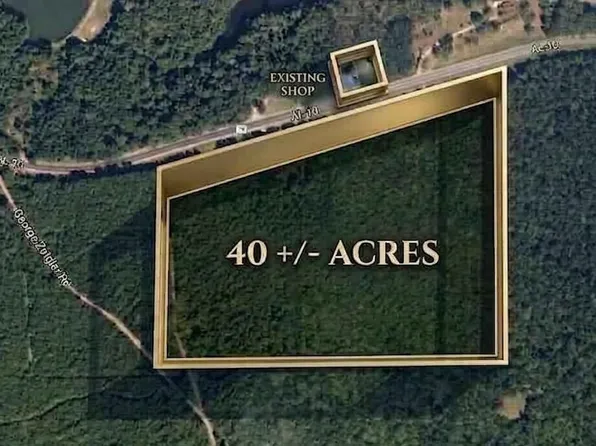 0 Highway 10 E Unit A, Pine Apple, AL 36768