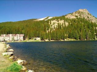 9366 County Road 275 UNIT 301, Idaho Springs, CO 80452