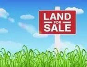 1 Turkey Ln, Cynthiana, KY, 41031