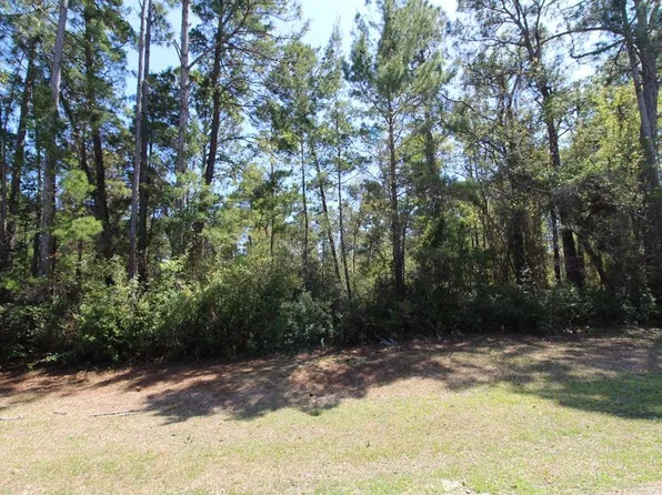 260 Boncycle Dr, Sopchoppy, FL 32358