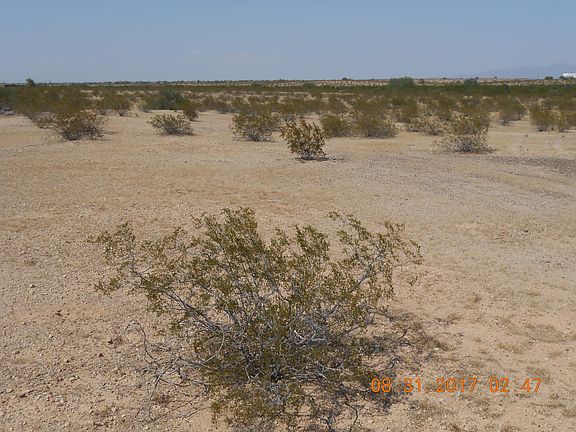 5th image of 339XX W Carver Road #-