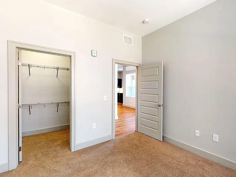 Spacious apartment bedroom with large closet and plush carpet flooring.