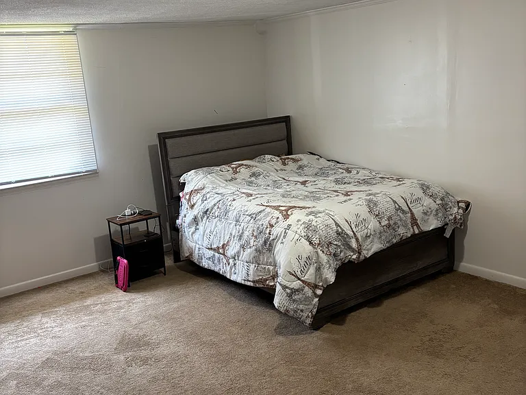 6638 Sherrod Dr — Photo 4